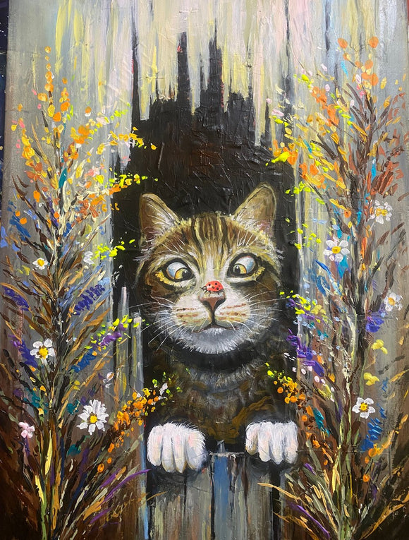 The curious cat