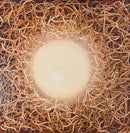 Convergence IV-1