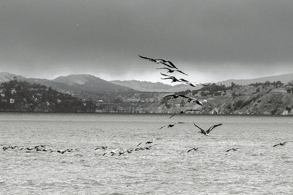 Flight To Point Reyes