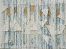 What Remains-1