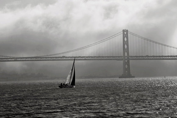 Sail into the Fog