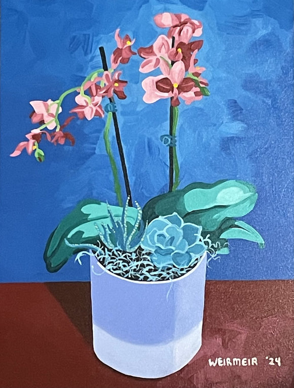 Orchid With Succulents
