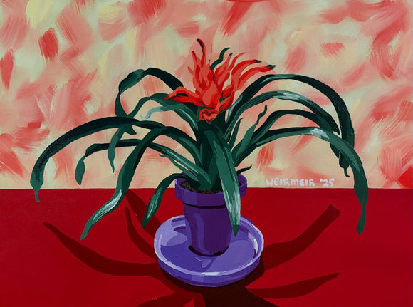 Bromeliad