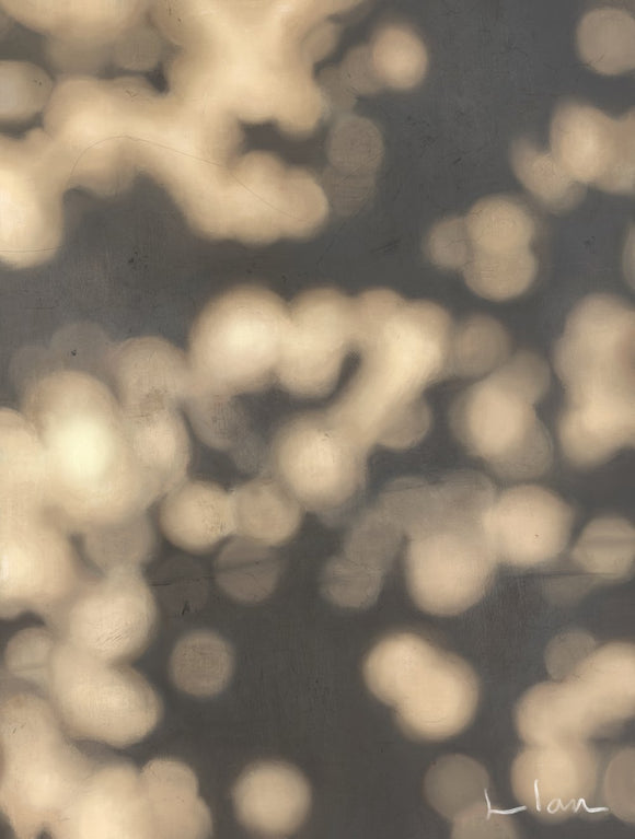 August Reflections