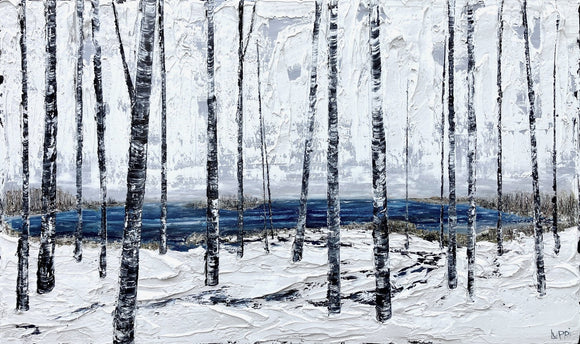 Another Winter's Cove