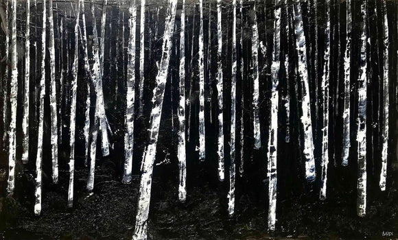 Wood of Castle Dark