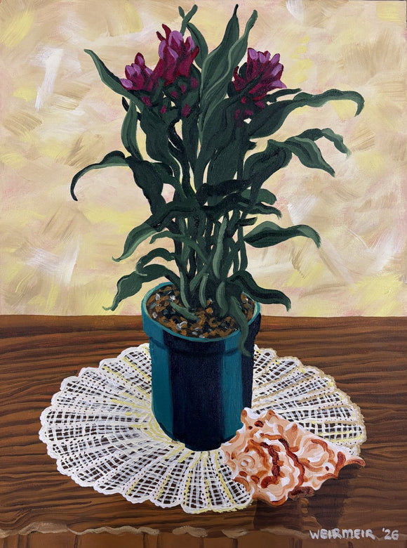 Siam Tulip With Conch
