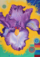 Iris Energy Field-1