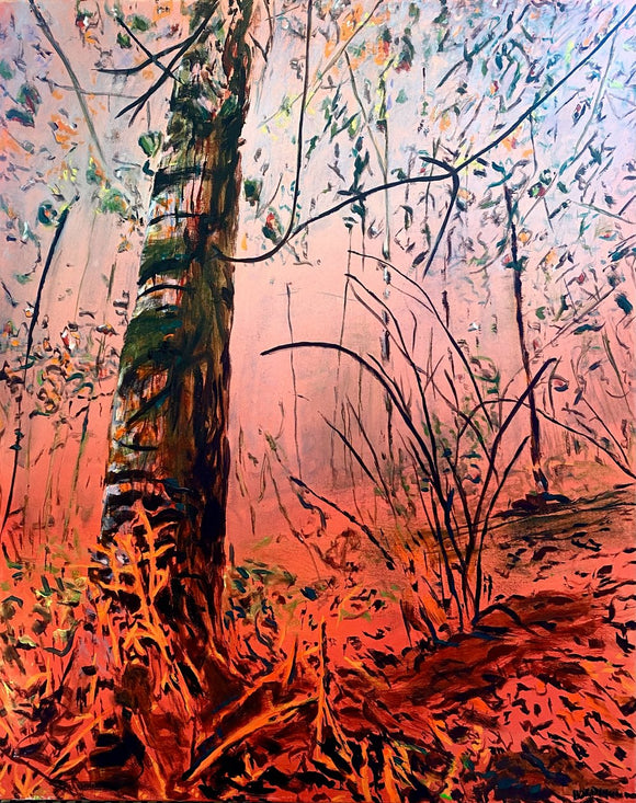Autumn Sunrise
