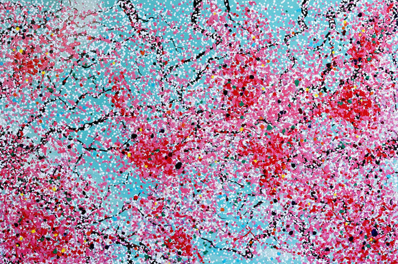 Cherry Blossoms
