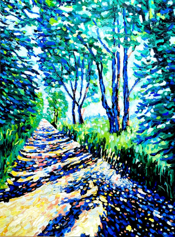 Path to Davern Lake