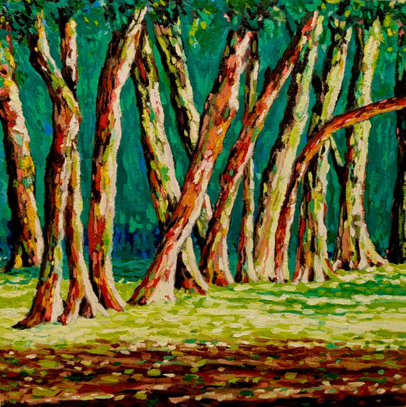 Light Through The Trees