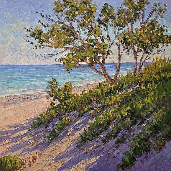 Morning Dune Light