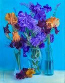 Orange & Amethyst Irises in the glass vases-1