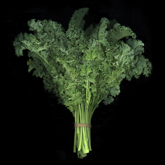 Curled Kale