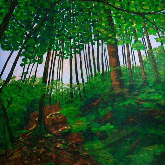 Along the Baden Powell