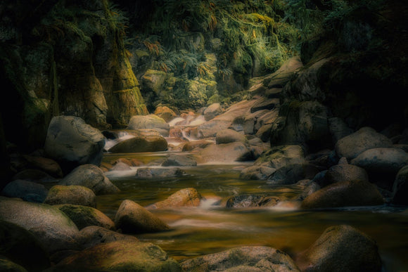 Mossy Canyon