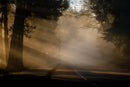 Sunrise Drive-1