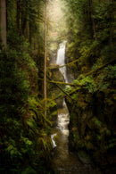 Enchanted Abyss-1