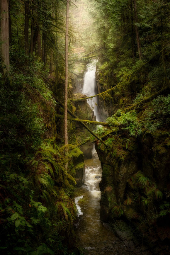 Enchanted Abyss