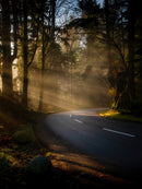Light on the Bend-1