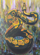 Golden Coil-1