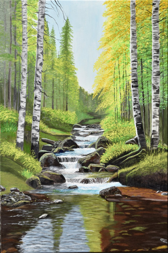 Where the Forest Flows