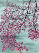 Spring Energy-1