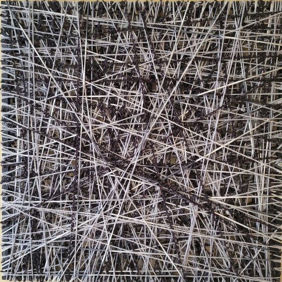 The Weaving of Lives and Memories #6