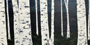 Quiet Dusk-1