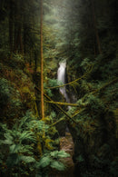 Enchanted Abyss-1