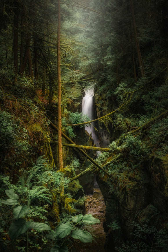 Enchanted Abyss