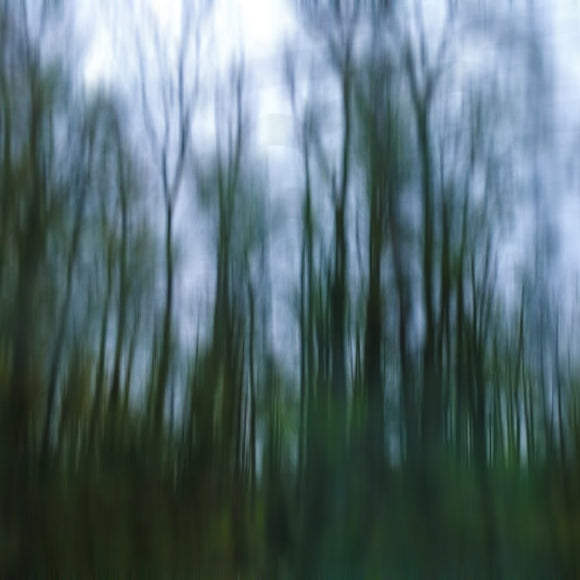 Forest Bathing