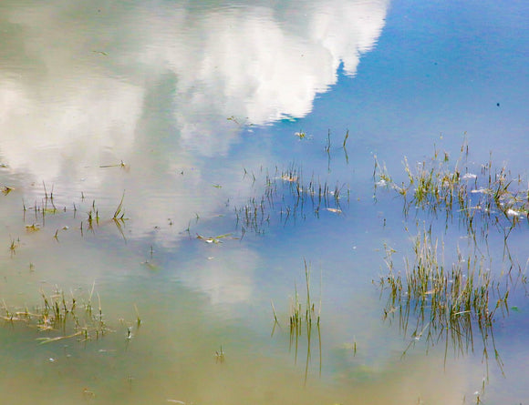Liquid Sky