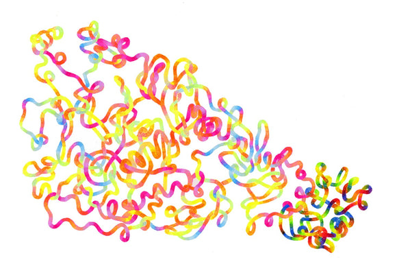 Tangled Knot no. 4: Macrophage