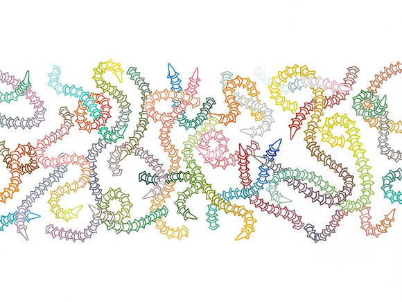 Cone Worm Floe