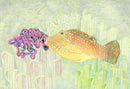 Netted Pufferfish with Coral Portal-1