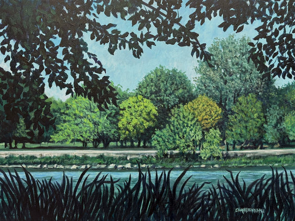 A Shady Place