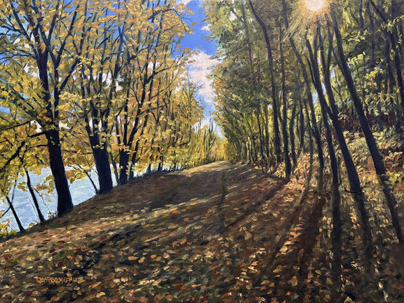 Autumn Walk