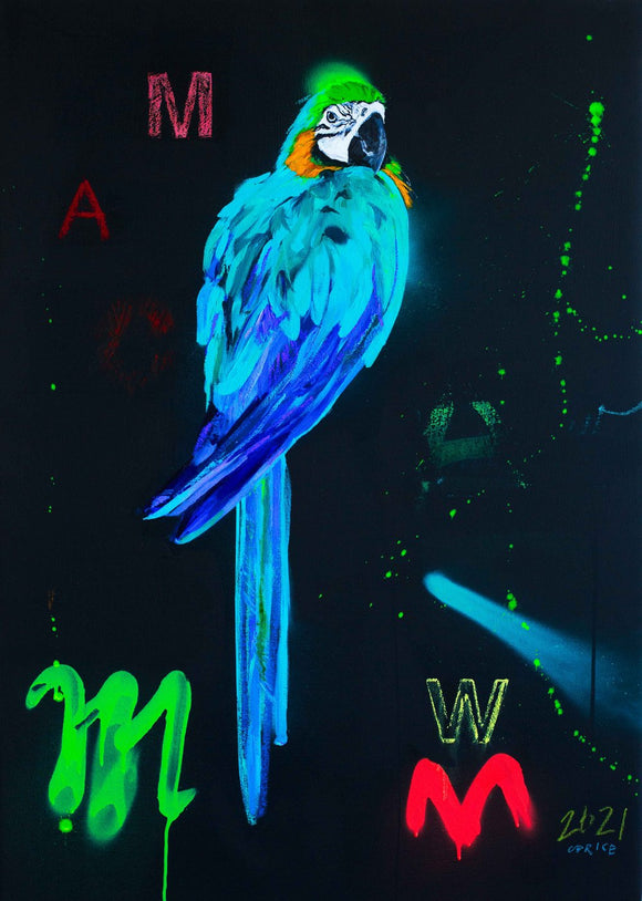 Macaw Blue