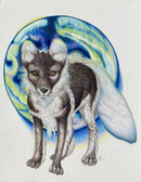 Arctic fox (Vulpes lagopus)-1