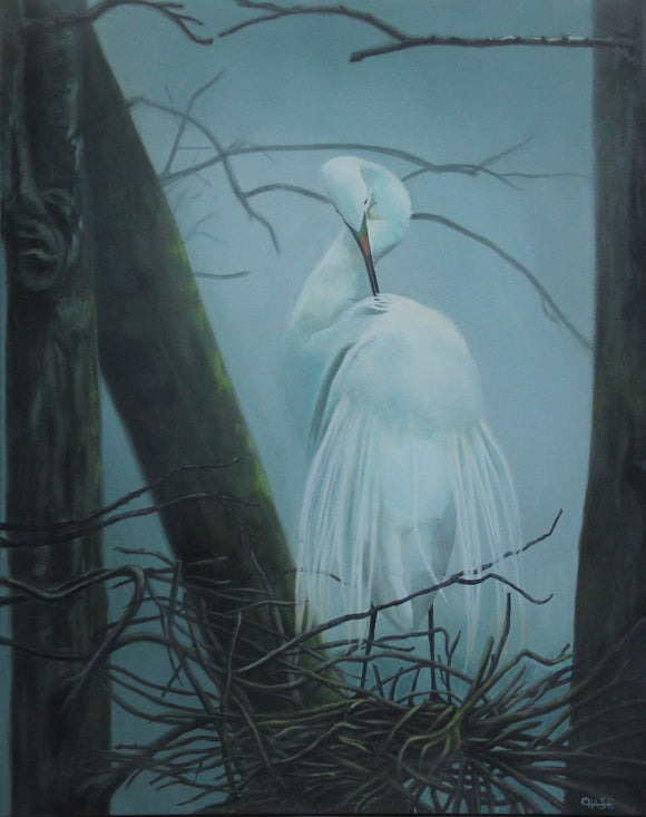 Embraced By The Mist