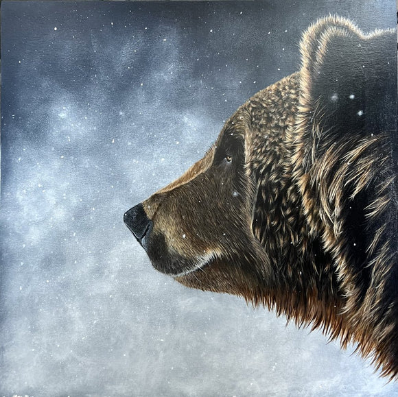 Snow bear