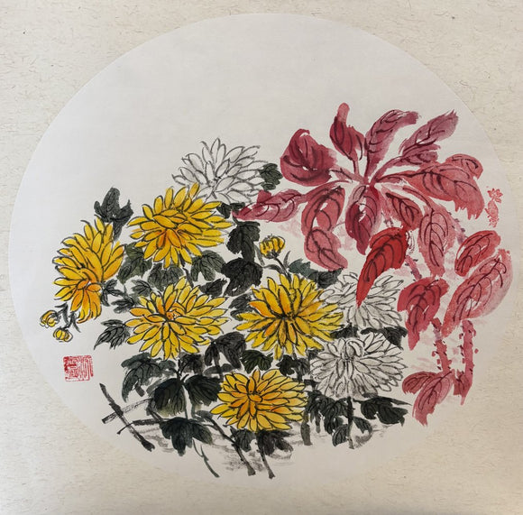 chrysanthemum