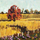 Fall Colours-1