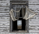 Window Pain-1