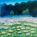 The Pink Meadow-1