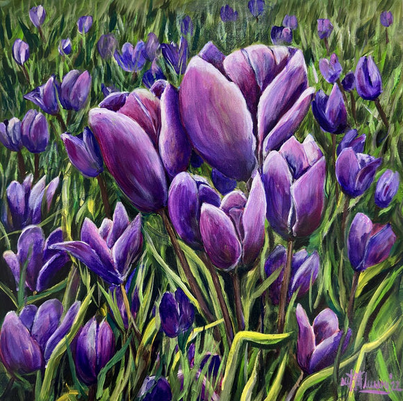 Tulip Season