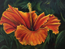 Full Bloom-1