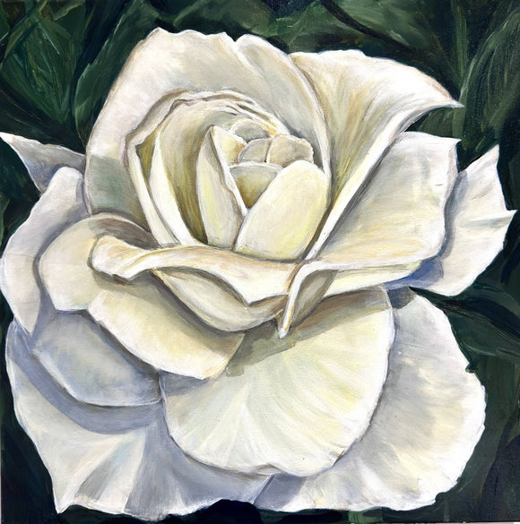 The White Rose